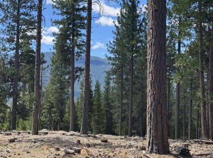 2245 Xanadu Road, Clio, CA 96106 Photo