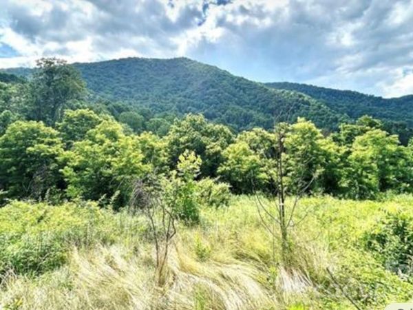 00 Split Pine Cove , Clyde, NC 28721