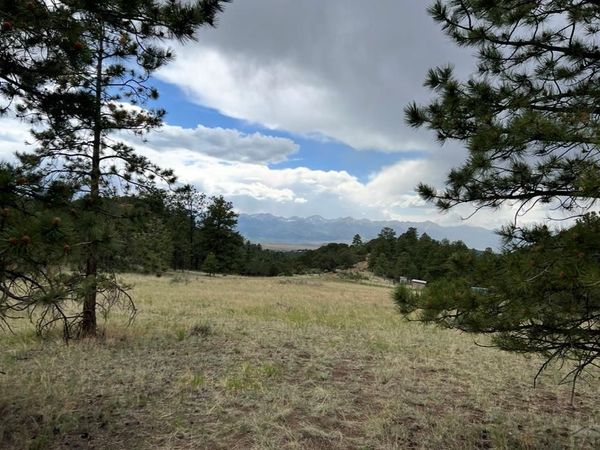 Lot 52 Tamarac Rd, Silver Cliff, CO 81252