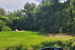 1422, 1428 Marcellus Road  photo 4