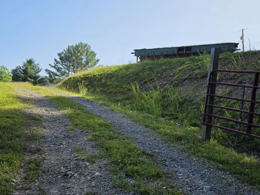 Property Image 9