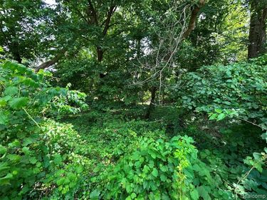 505 S Telegraph Road , Dearborn, MI 48124