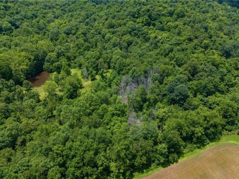0 Bender Road, Marietta, OH 45750 Photo 13