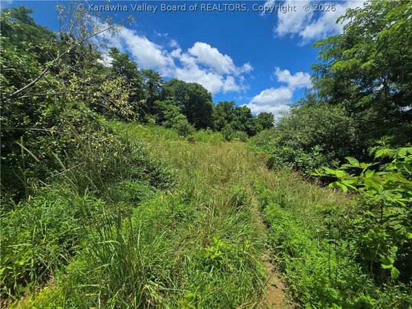 0 Peewee Hill Road, Sandyville, WV 25275