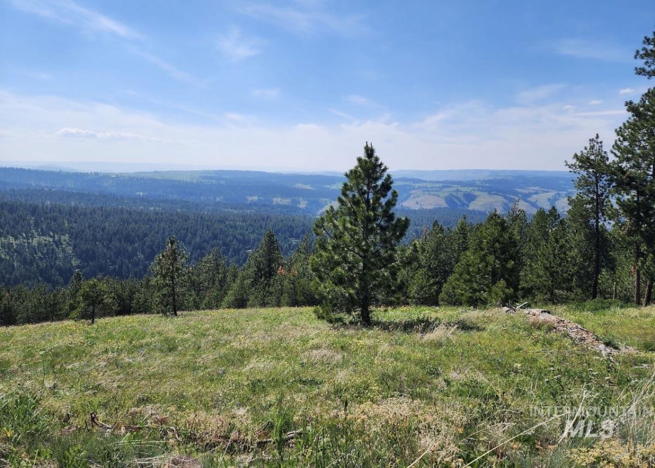 Lot 91 Tbd Pilgrim Ridge Road, White Bird, ID 83554 Main Photo