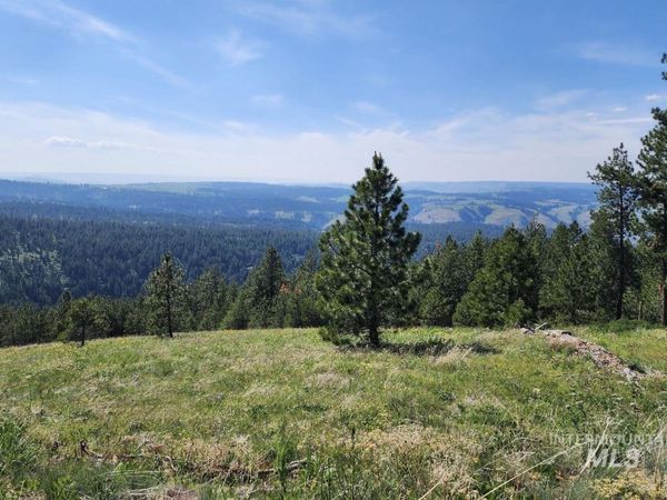 Lot 91 Tbd Pilgrim Ridge Road, White Bird, ID 83554