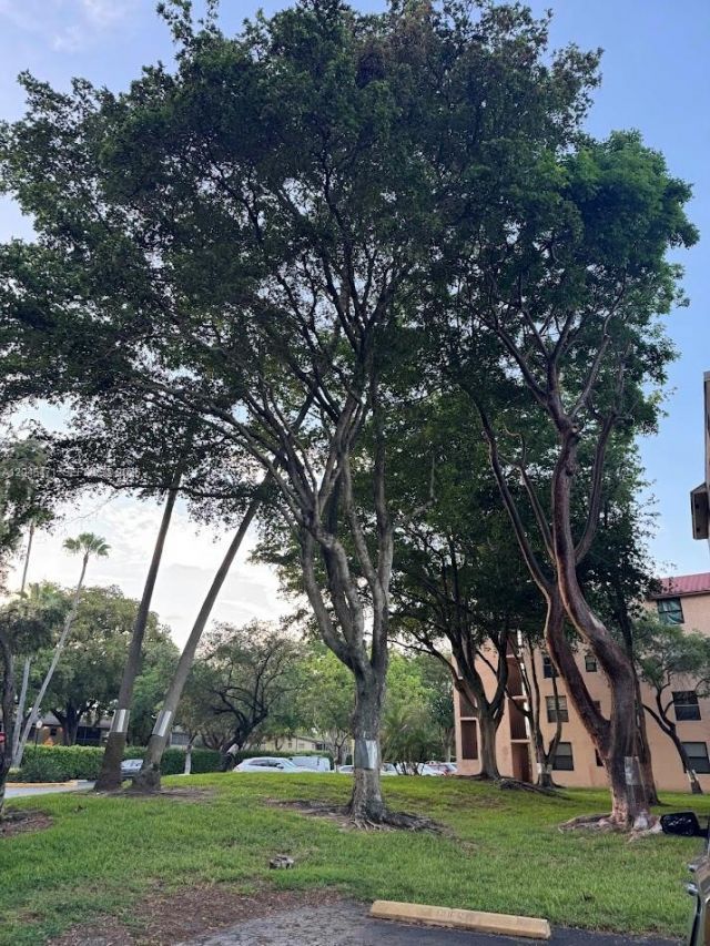 7591 NW 1st St, Unit 403, Margate, FL 33063 Photo