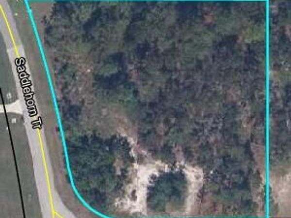 4200 MAIL COACH Court, Middleburg, FL 32068