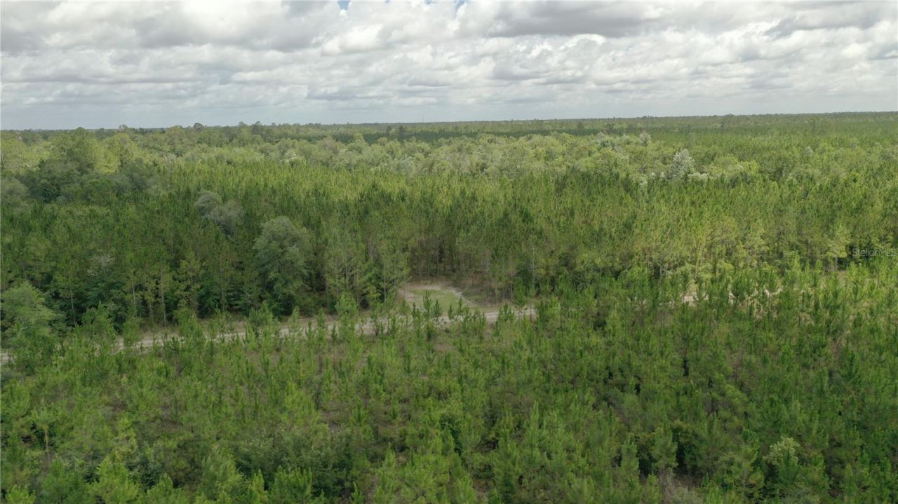Us Hwy 441 N, Lake City, FL 32055 Photo