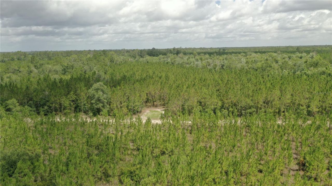 Us Hwy 441 N, Lake City, FL 32055 Photo