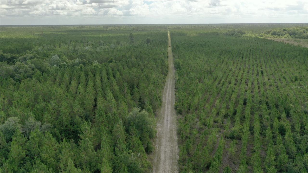 Us Hwy 441 N, Lake City, FL 32055 Photo
