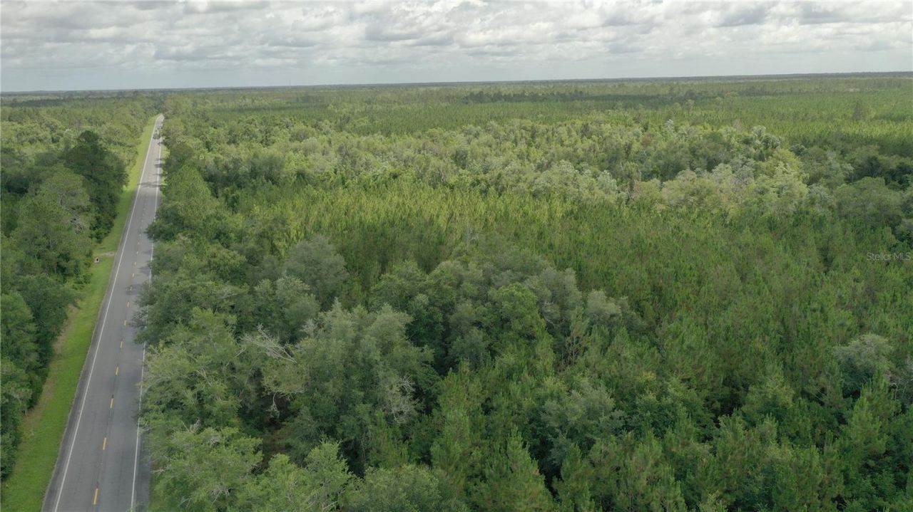 Us Hwy 441 N, Lake City, FL 32055 Photo