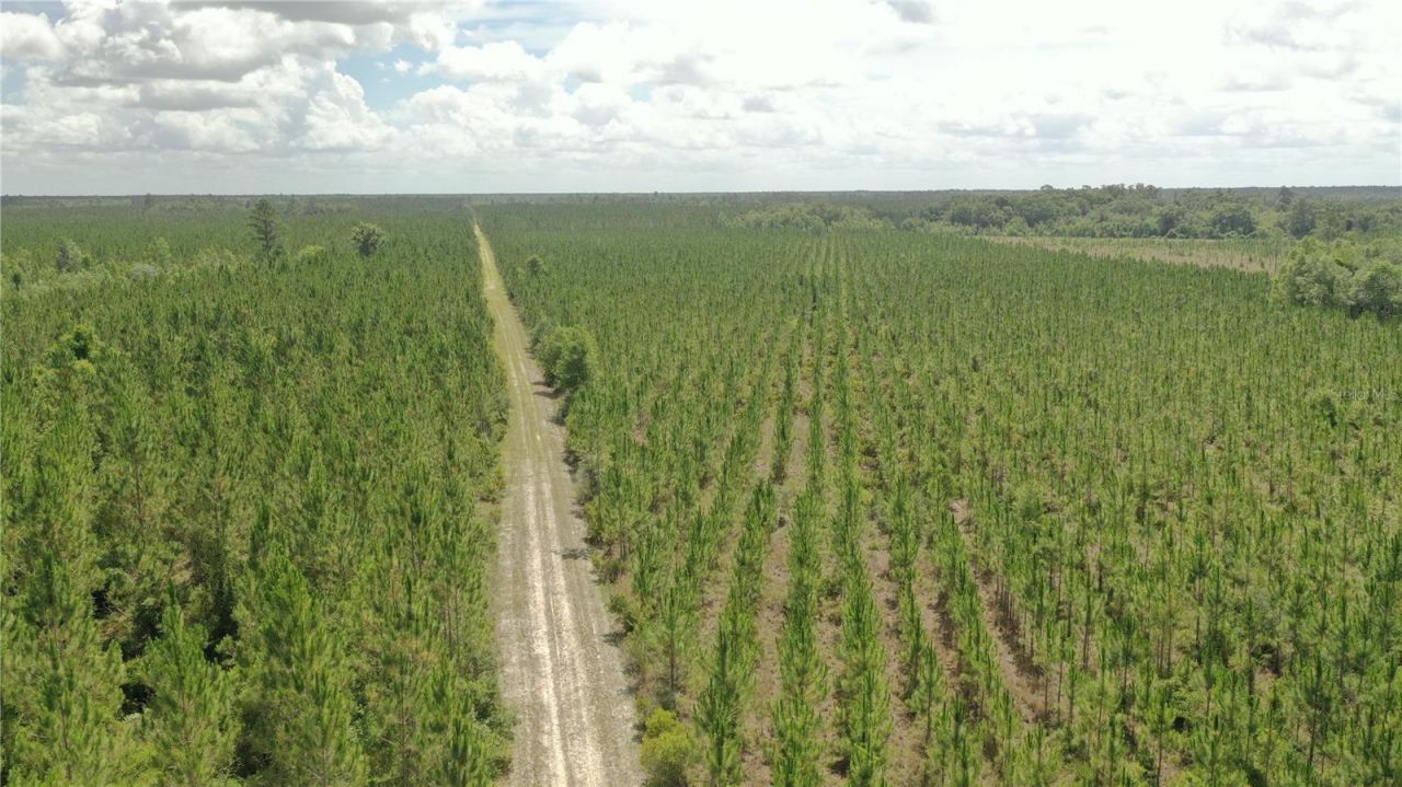 Us Hwy 441 N, Lake City, FL 32055 Photo