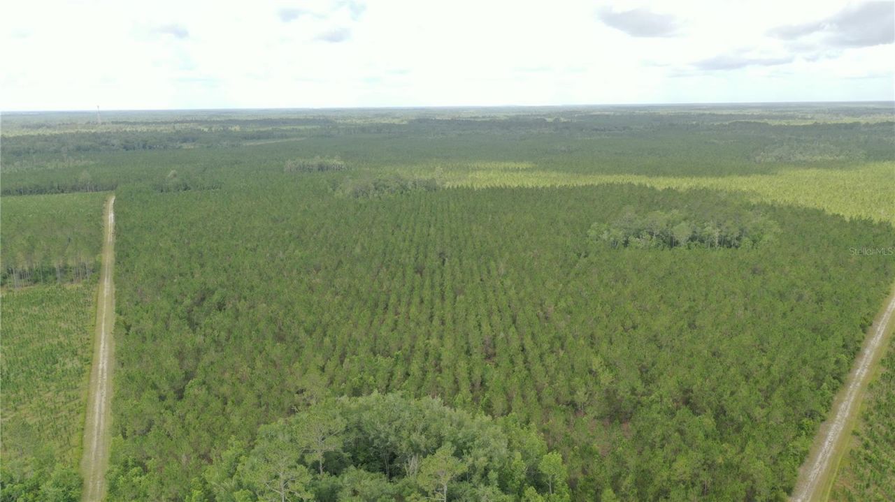 Us Hwy 441 N, Lake City, FL 32055 Photo