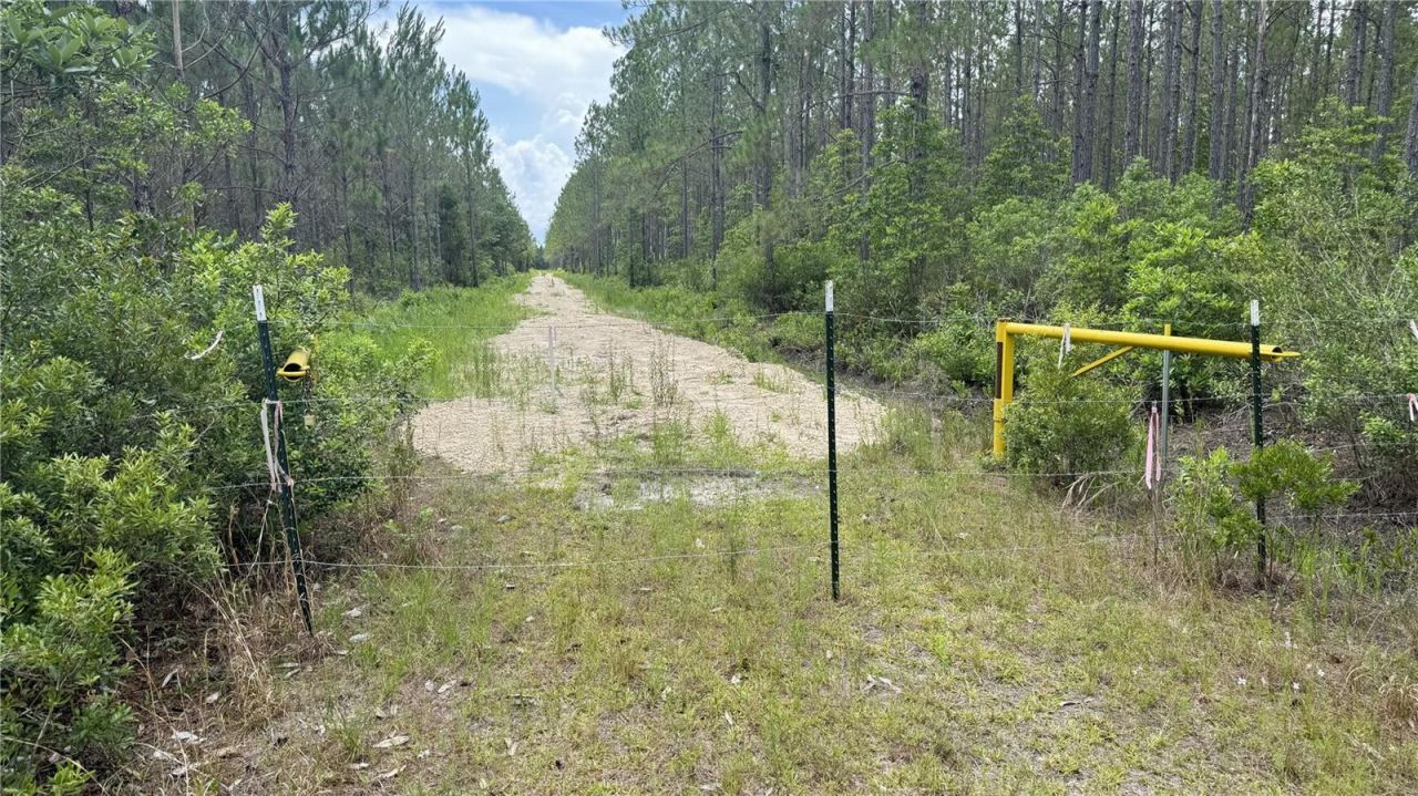 Us Hwy 441 N, Lake City, FL 32055 Photo