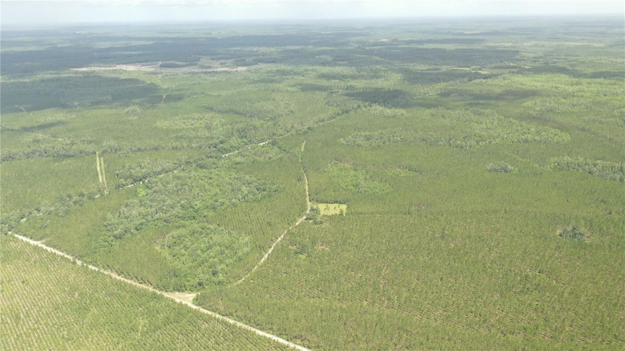Us Hwy 441 N, Lake City, FL 32055 Photo
