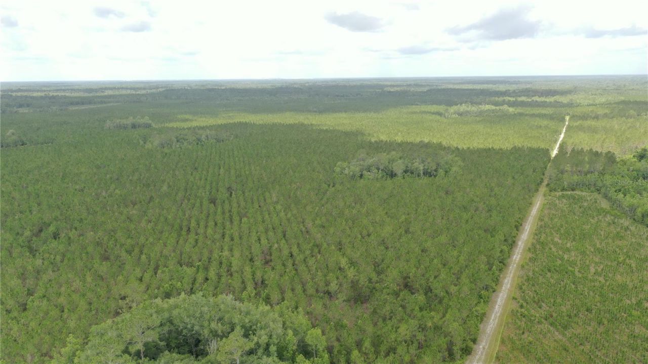 Us Hwy 441 N, Lake City, FL 32055 Photo