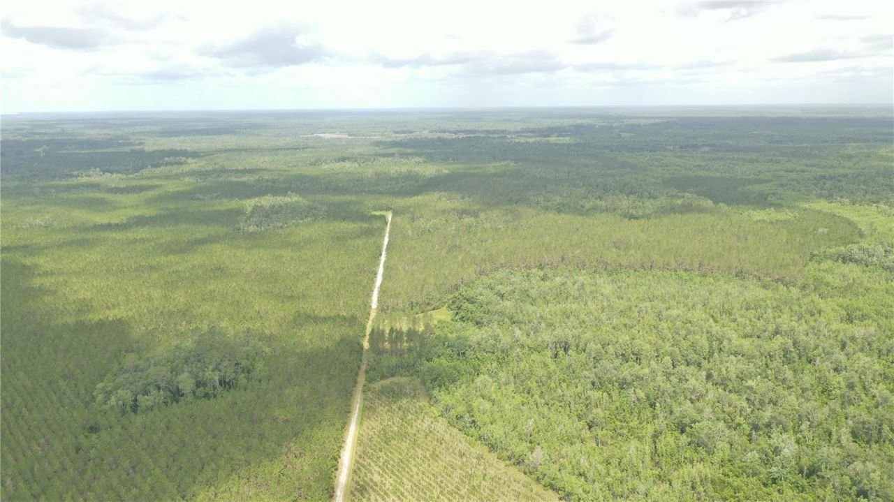 Us Hwy 441 N, Lake City, FL 32055 Photo