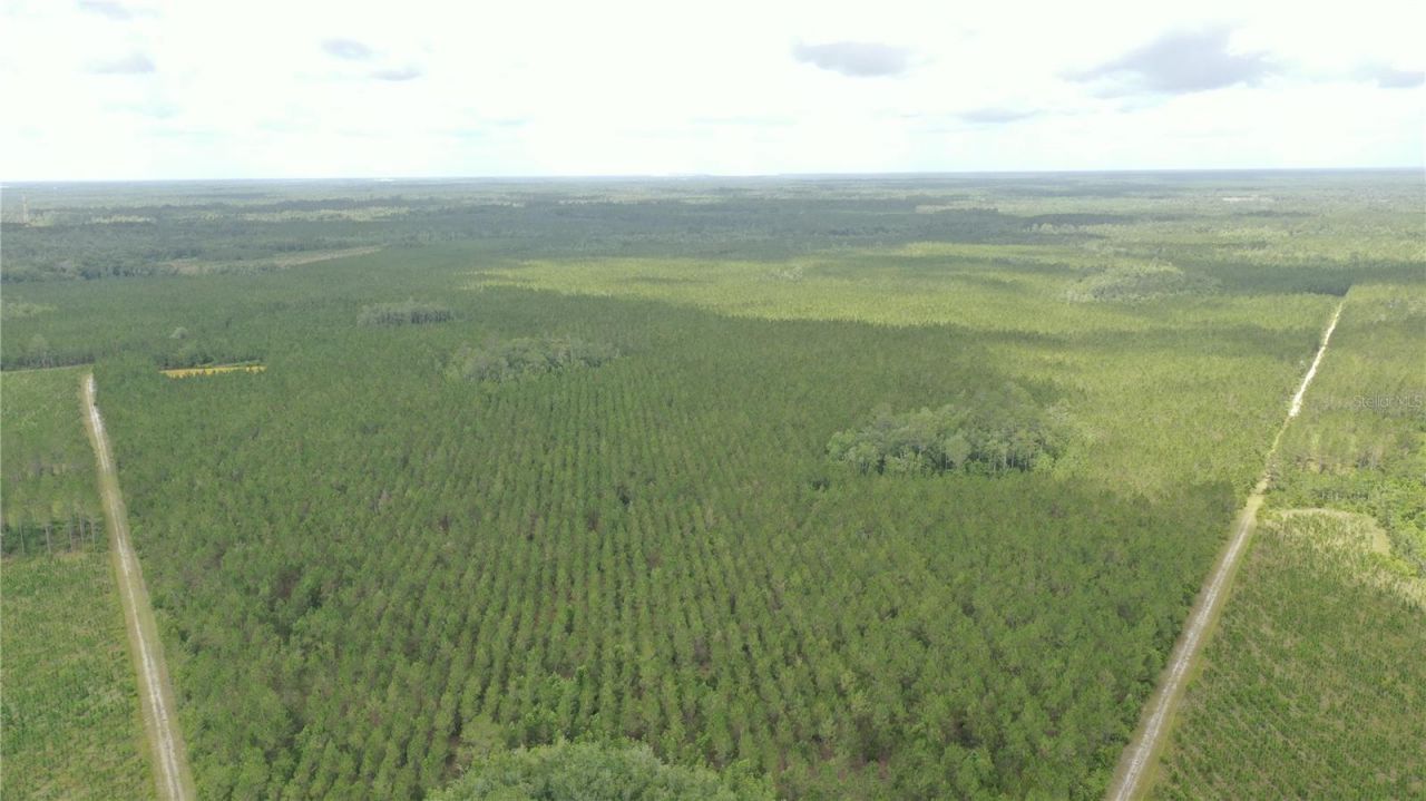 Us Hwy 441 N, Lake City, FL 32055 Photo