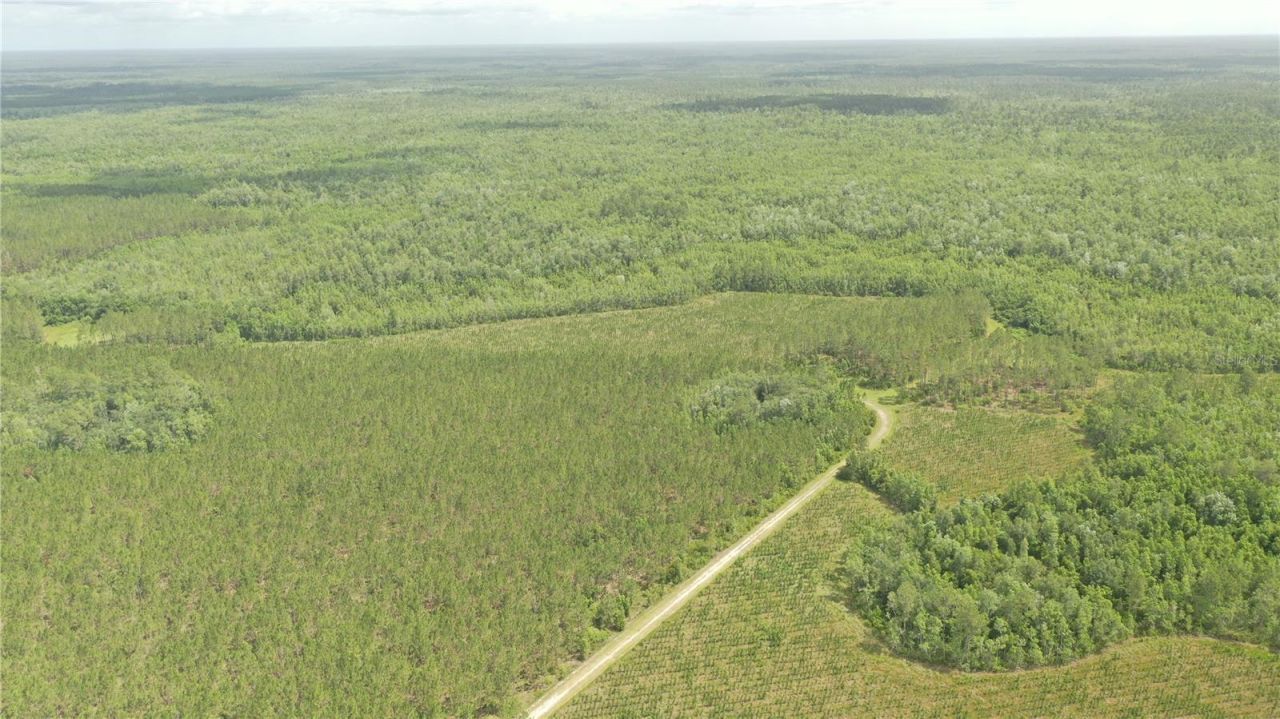 Us Hwy 441 N, Lake City, FL 32055 Photo