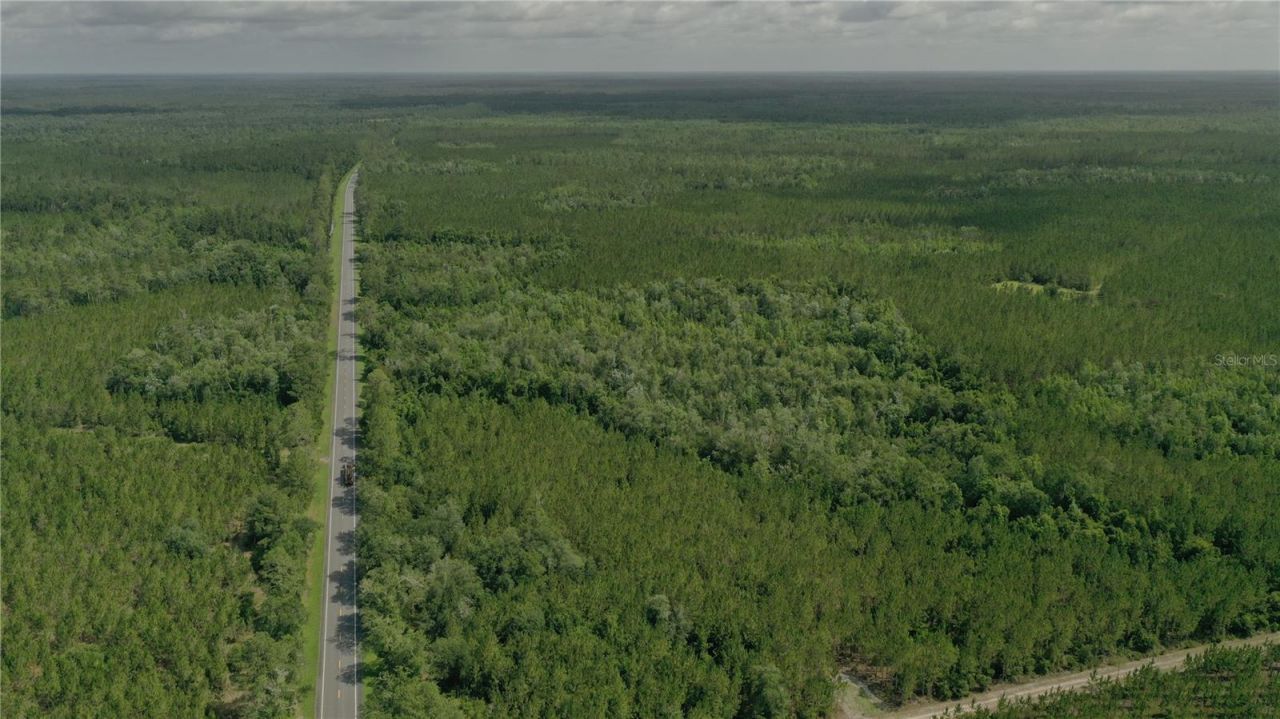 Us Hwy 441 N, Lake City, FL 32055 Photo