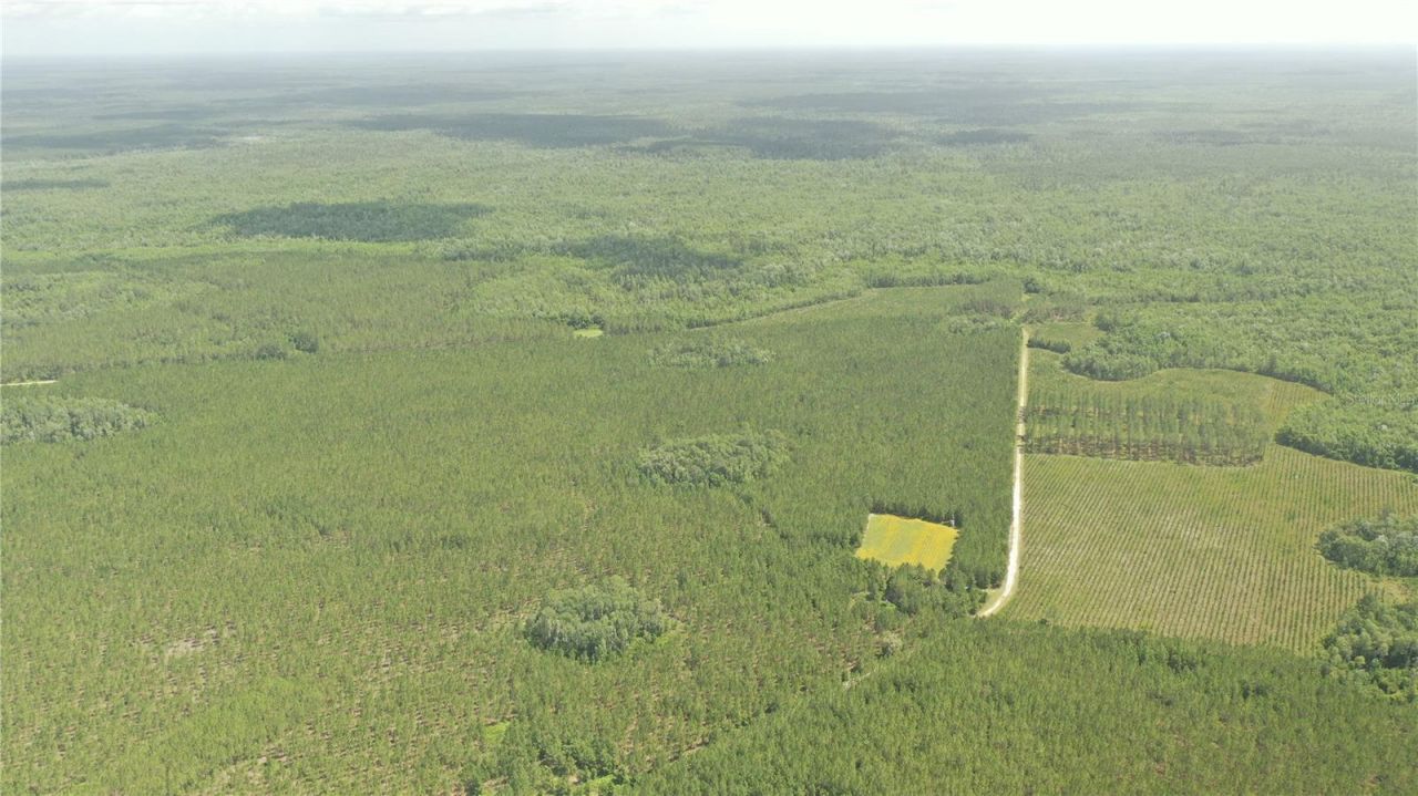 Us Hwy 441 N, Lake City, FL 32055 Photo