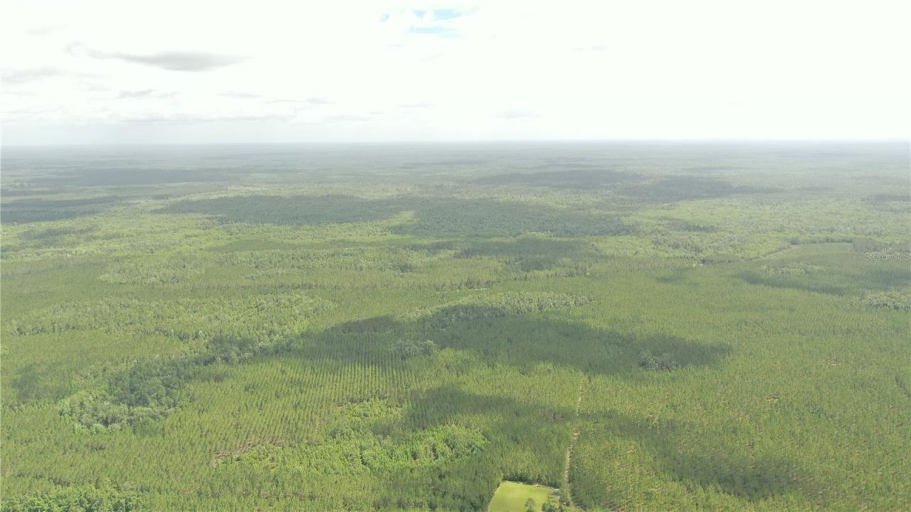 Us Hwy 441 N, Lake City, FL 32055 Photo