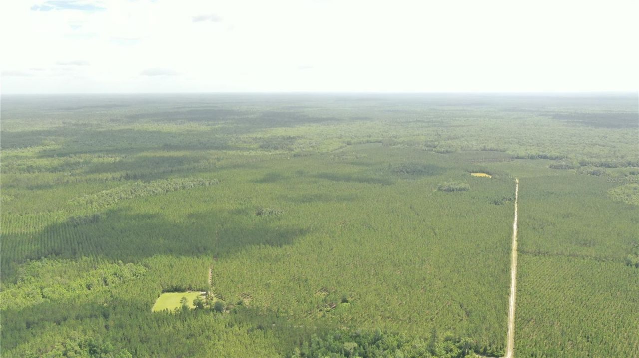 Us Hwy 441 N, Lake City, FL 32055 Photo