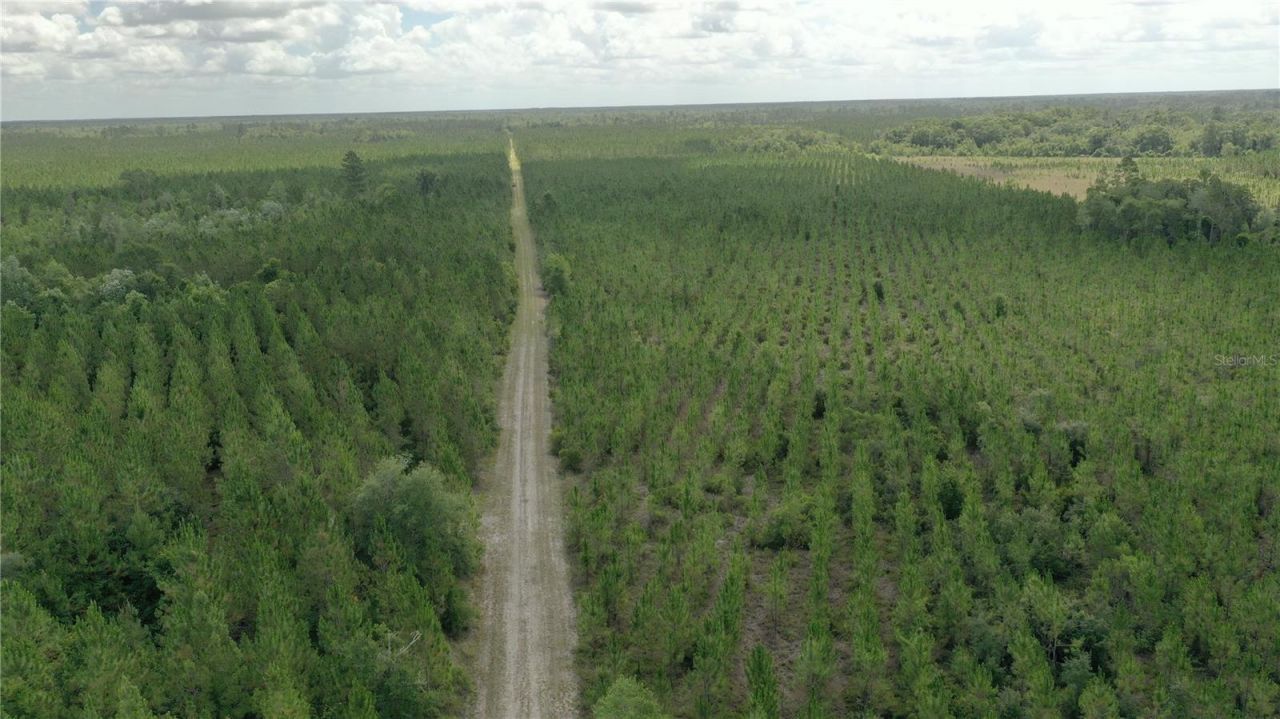 Us Hwy 441 N, Lake City, FL 32055 Photo
