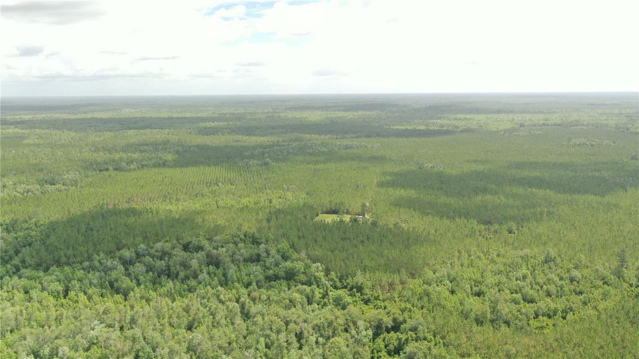 Us Hwy 441 N, Lake City, FL 32055 Photo