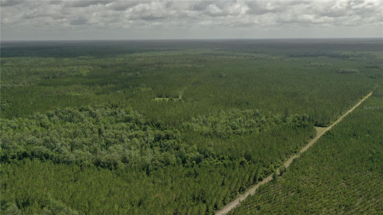 Us Hwy 441 N, Lake City, FL 32055 Photo