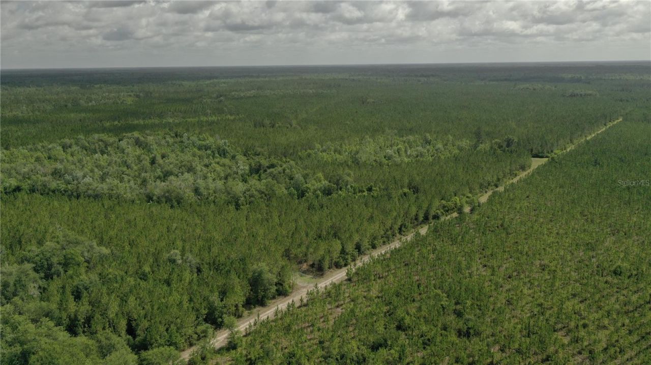 Us Hwy 441 N, Lake City, FL 32055 Photo