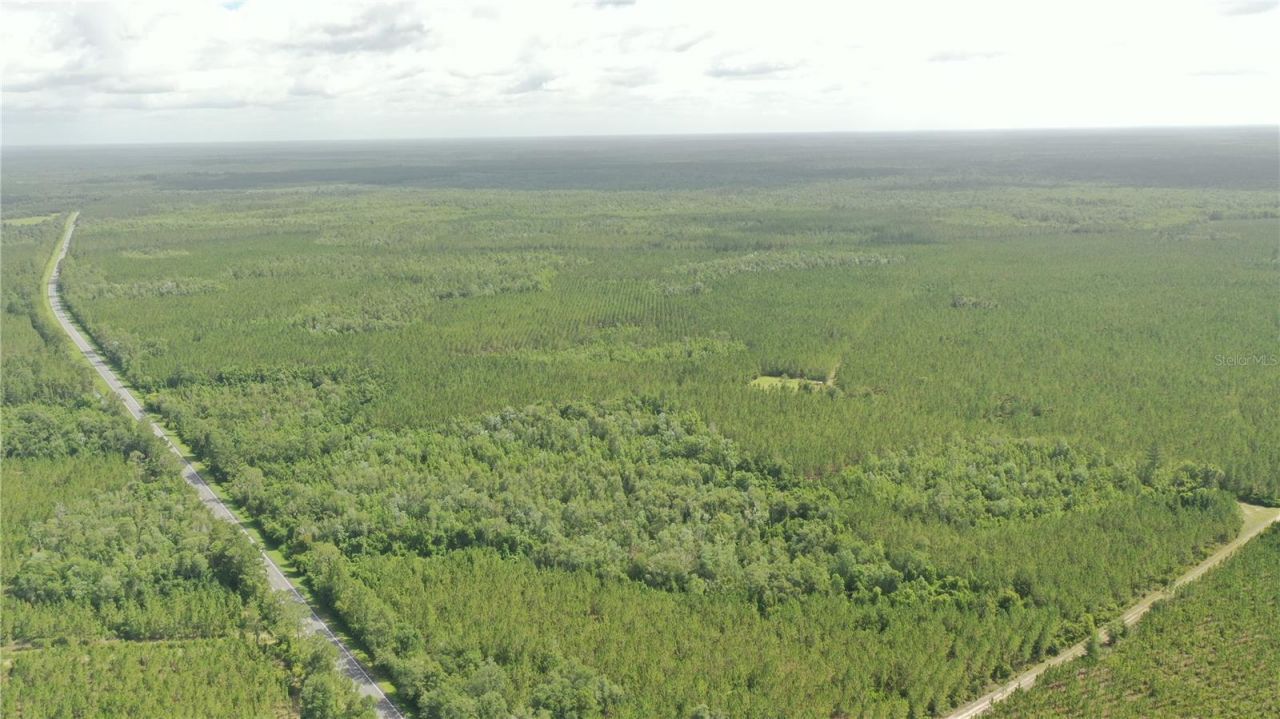 Us Hwy 441 N, Lake City, FL 32055 Photo