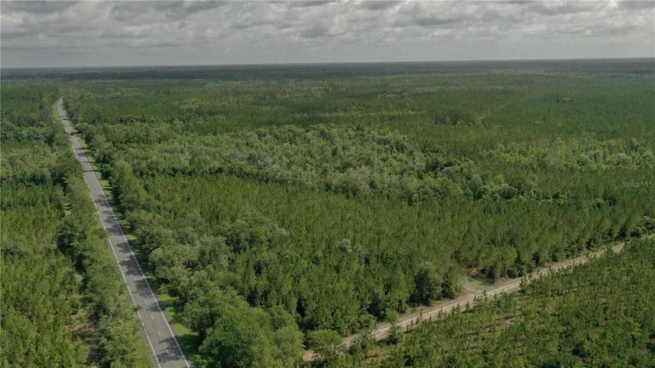 Us Hwy 441 N, Lake City, FL 32055 Photo