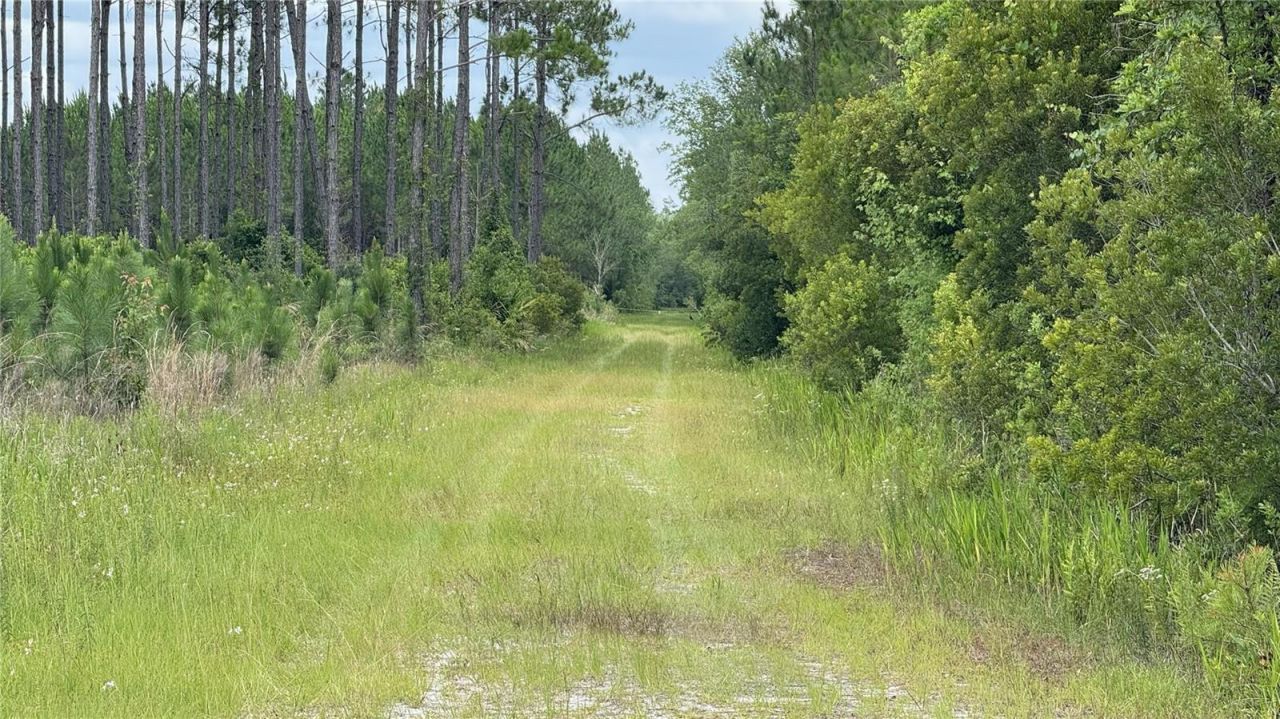 Us Hwy 441 N, Lake City, FL 32055 Photo