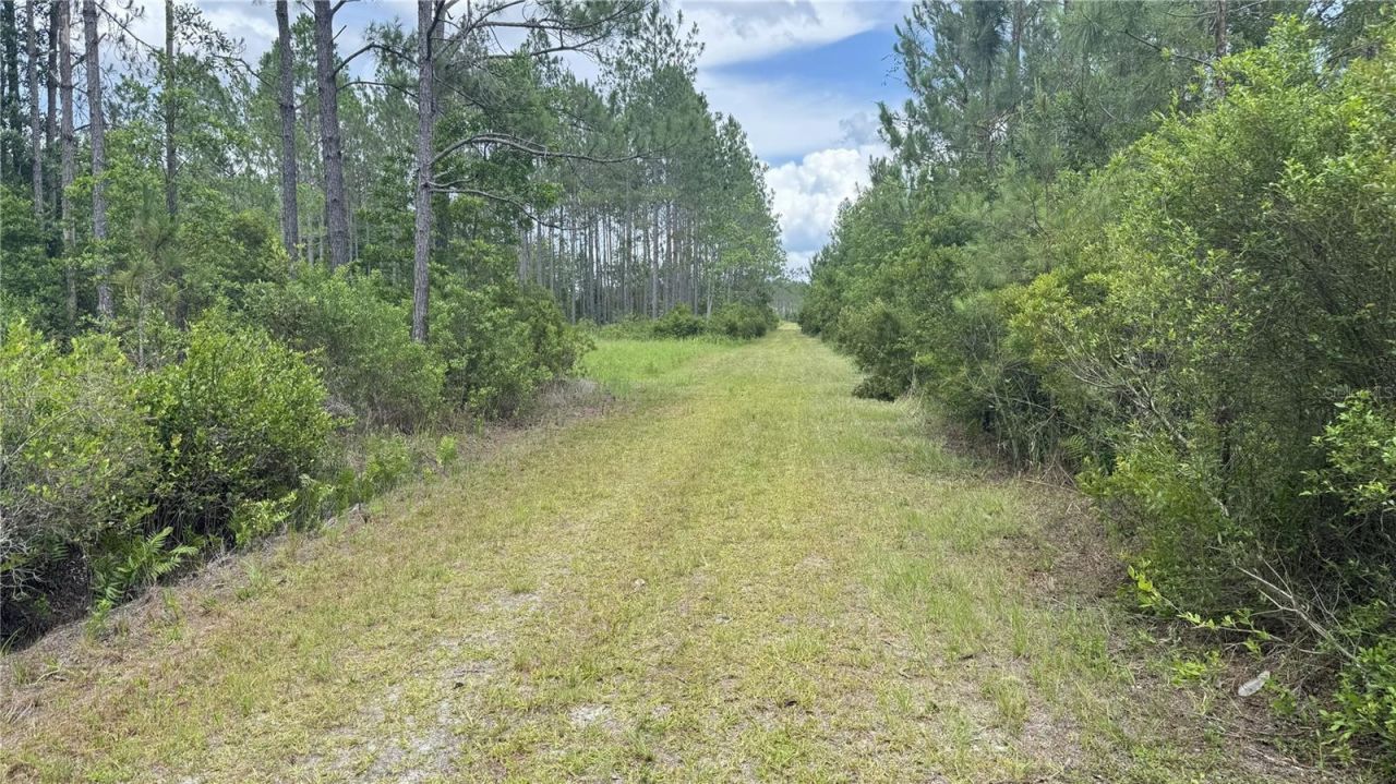 Us Hwy 441 N, Lake City, FL 32055 Photo