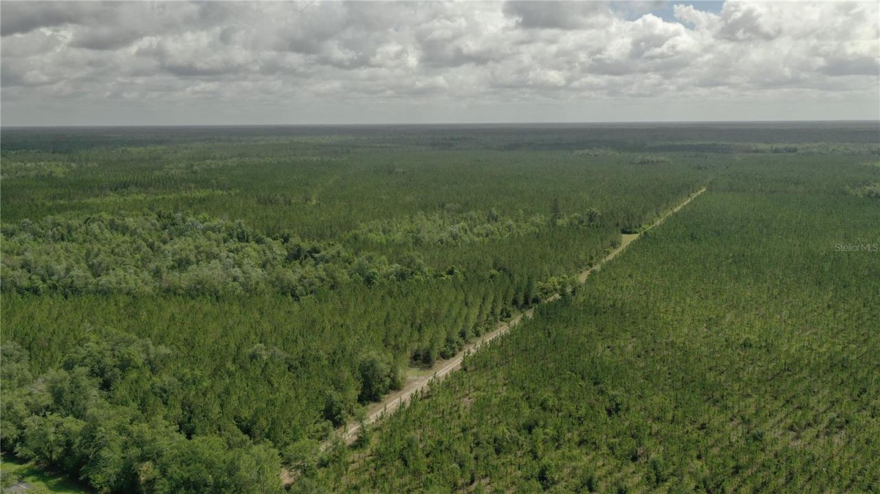 Us Hwy 441 N, Lake City, FL 32055 Photo