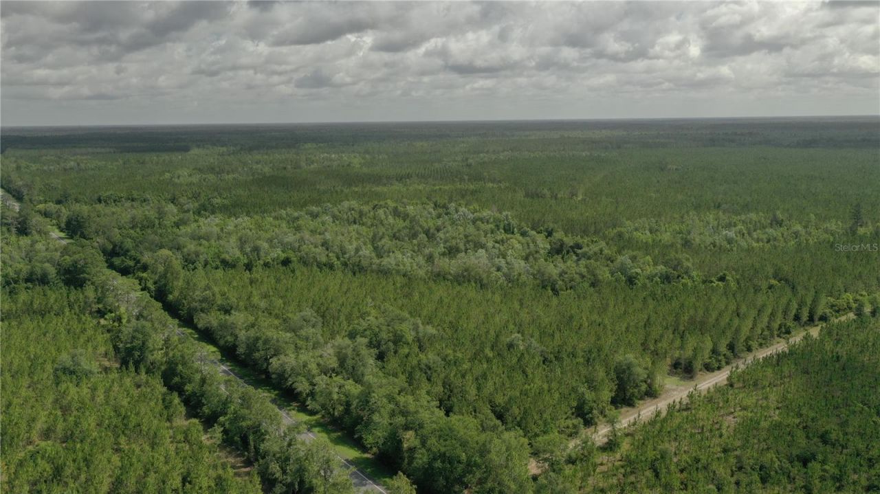 Us Hwy 441 N, Lake City, FL 32055 Photo
