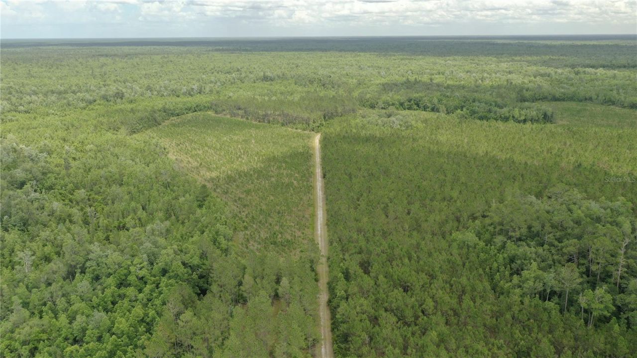 Us Hwy 441 N, Lake City, FL 32055 Photo
