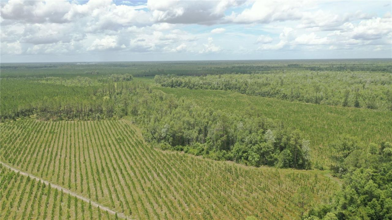 Us Hwy 441 N, Lake City, FL 32055 Photo