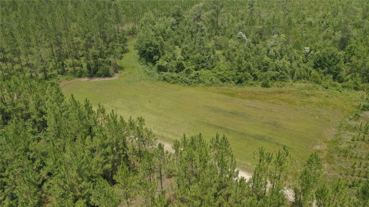 Us Hwy 441 N, Lake City, FL 32055 Photo