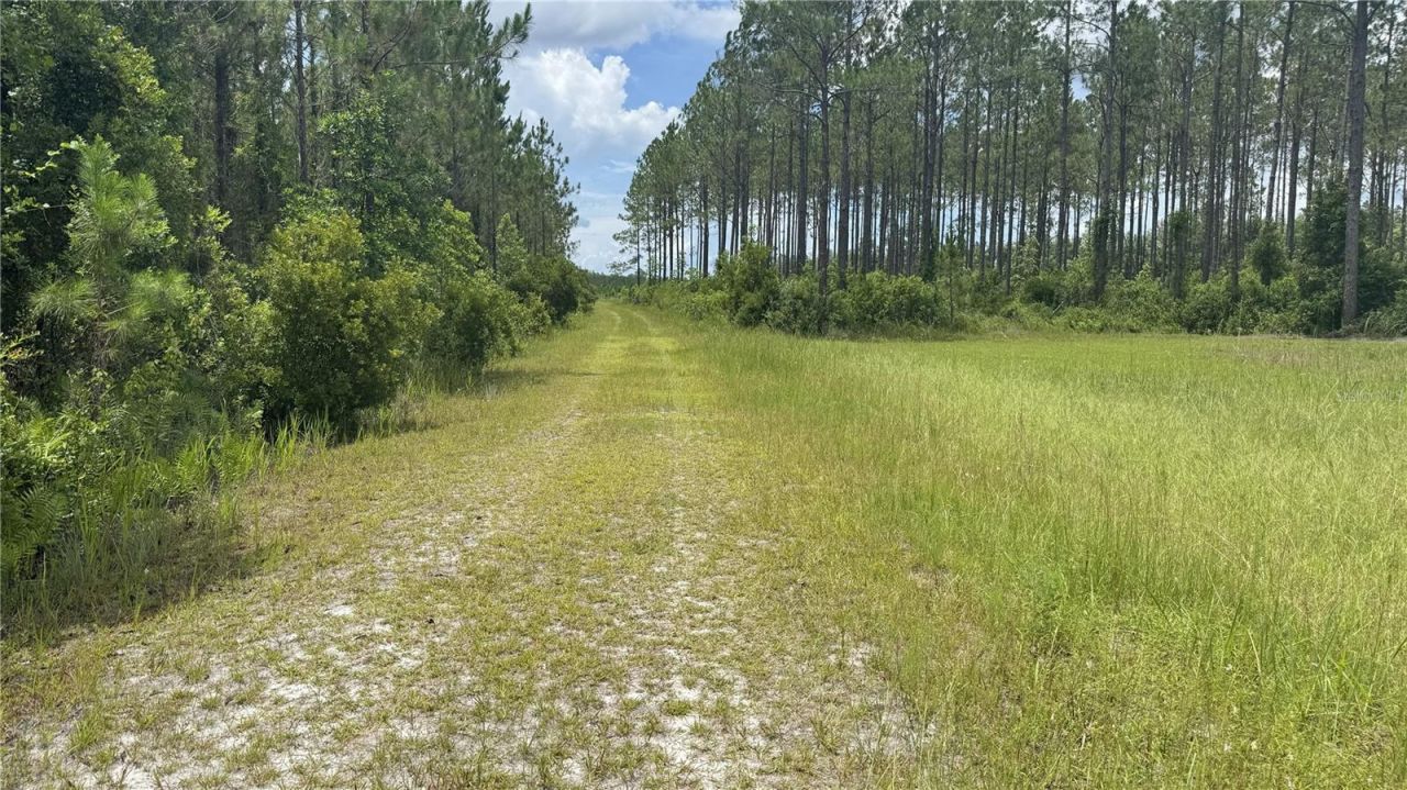 Us Hwy 441 N, Lake City, FL 32055 Photo