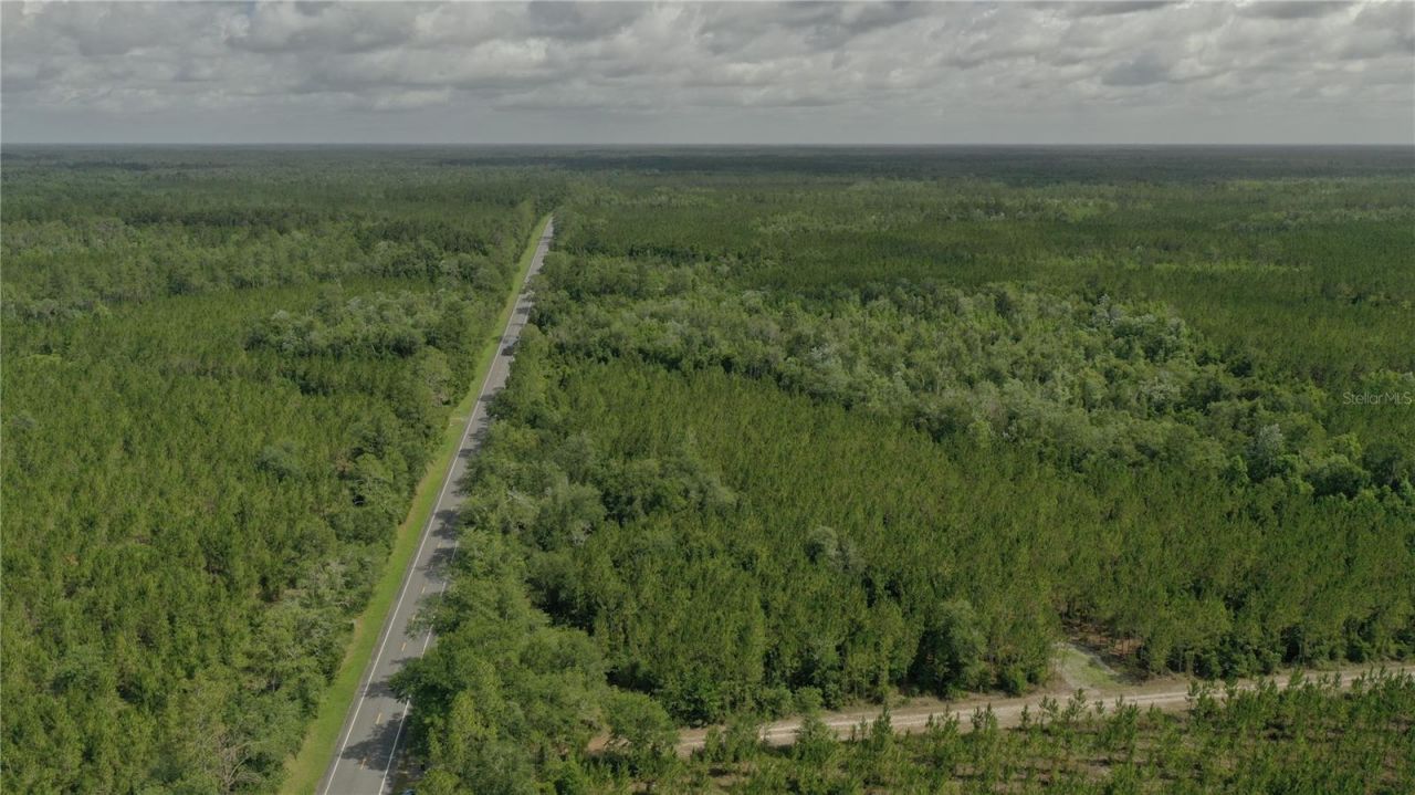 Us Hwy 441 N, Lake City, FL 32055 Photo
