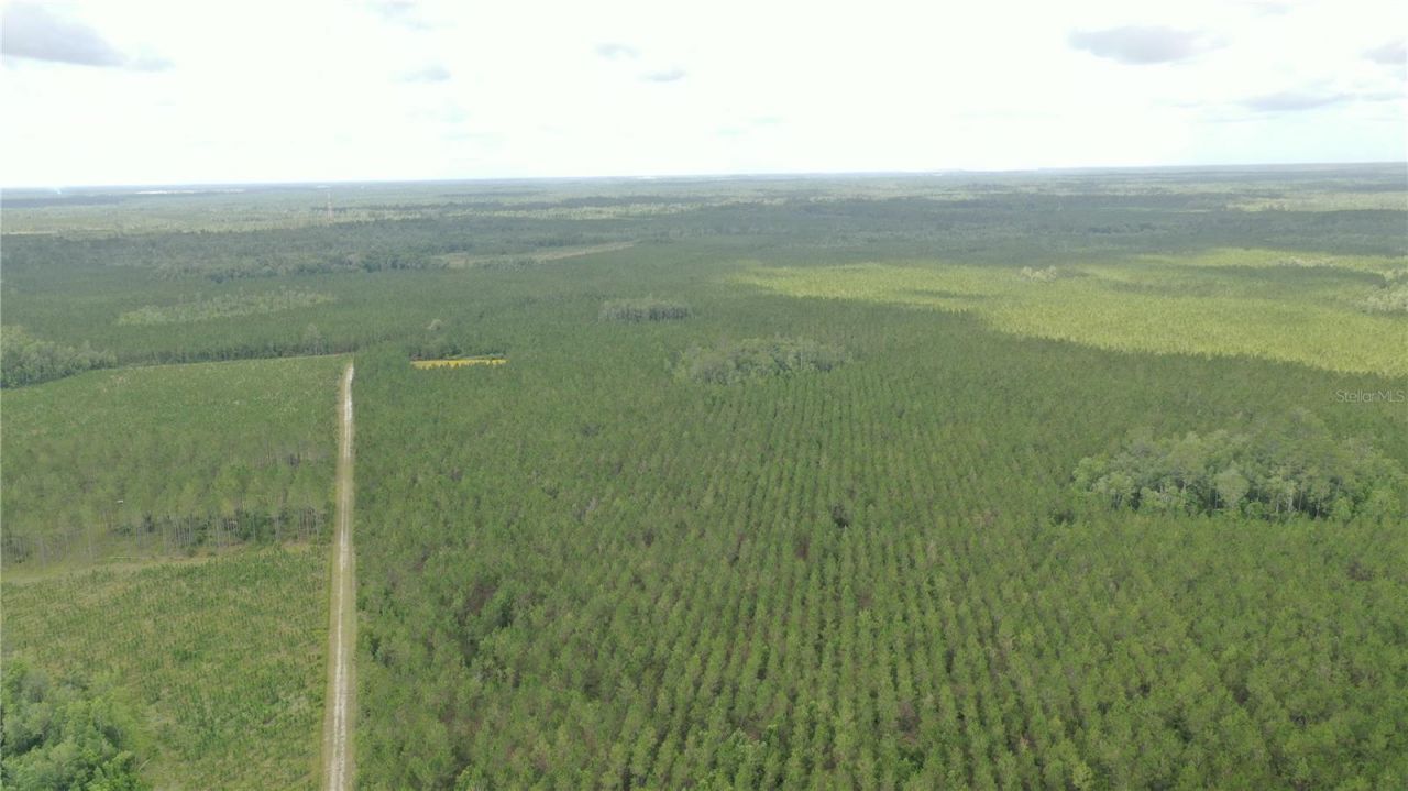 Us Hwy 441 N, Lake City, FL 32055 Photo
