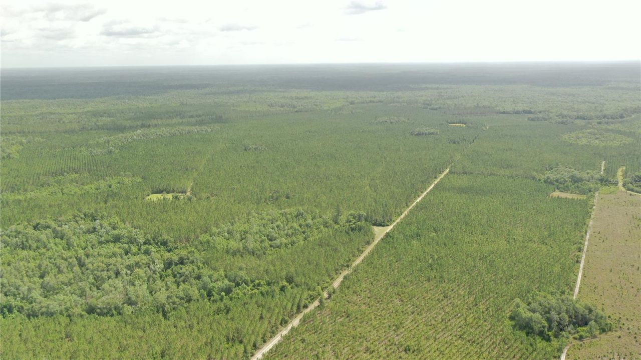 Us Hwy 441 N, Lake City, FL 32055 Photo