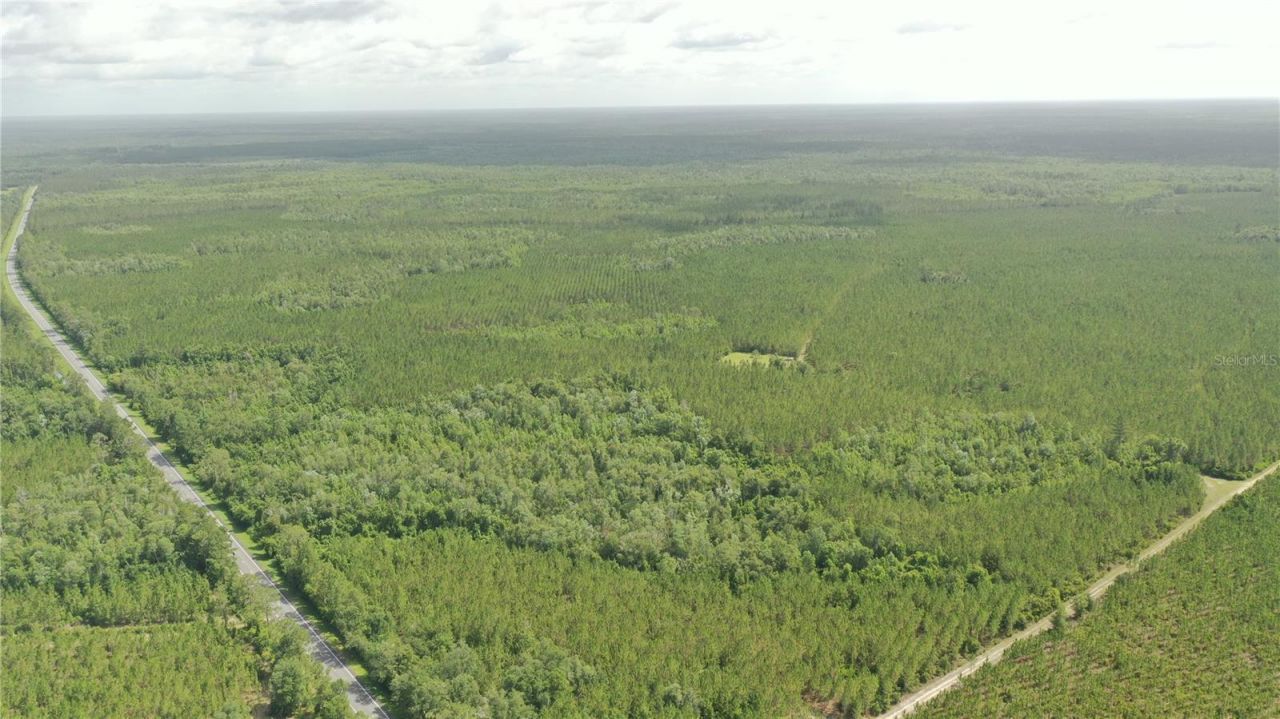 Us Hwy 441 N, Lake City, FL 32055 Photo