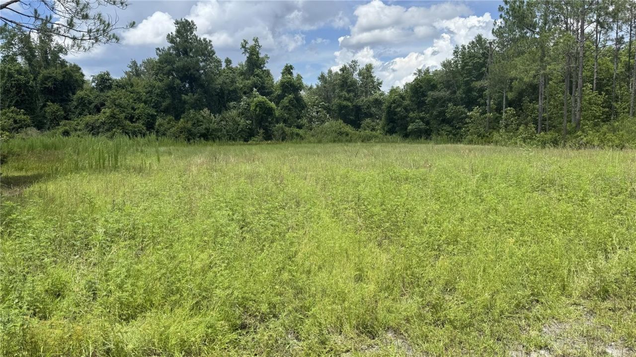 Us Hwy 441 N, Lake City, FL 32055 Photo