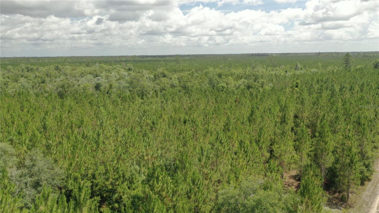 Us Hwy 441 N, Lake City, FL 32055 Photo
