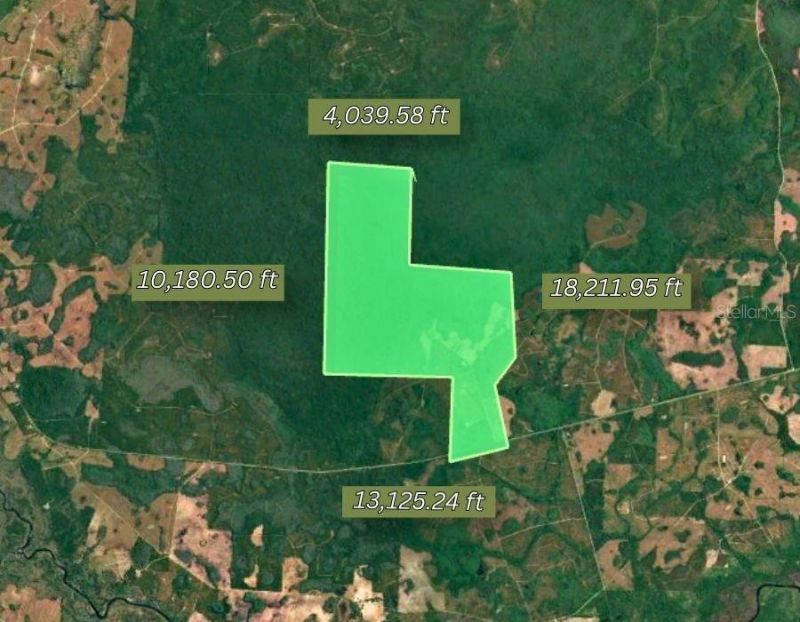 Us Hwy 441 N, Lake City, FL 32055 Photo