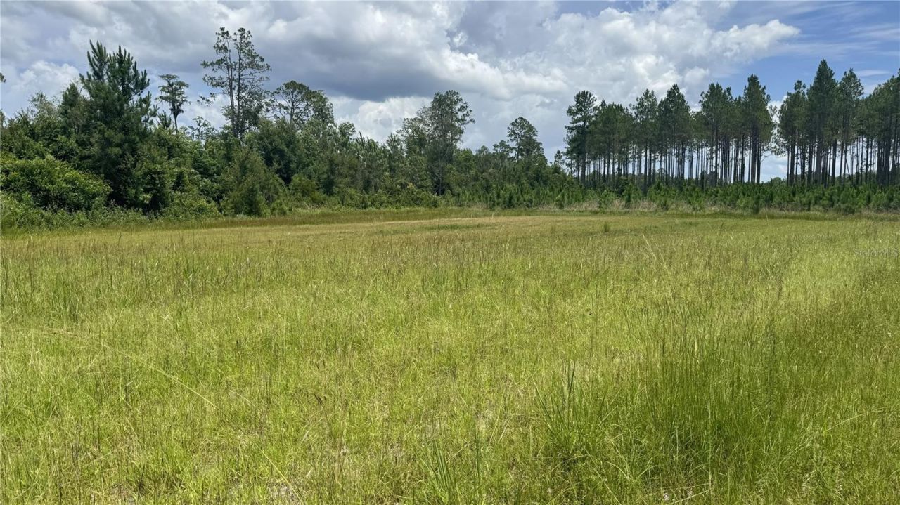 Us Hwy 441 N, Lake City, FL 32055 Photo